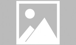 浙江时政爆料新闻最新,聚焦民生热点，揭秘政策动向