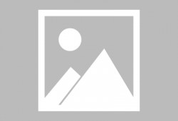 逃跑吧少年最新版本爆料,全新玩法与角色等你探索！